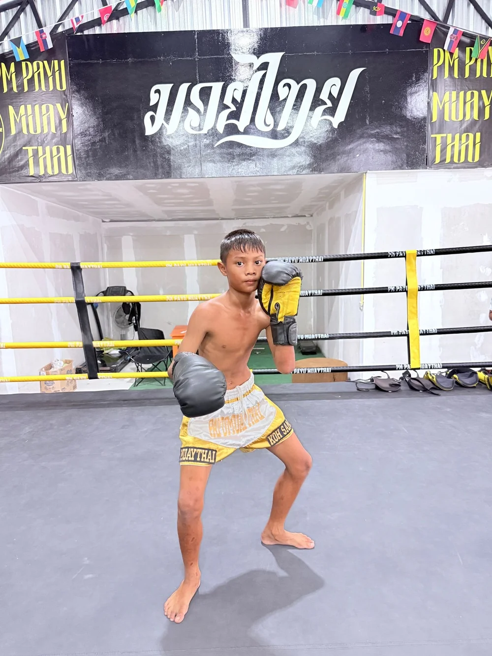 Young fighter in stance inside the ring