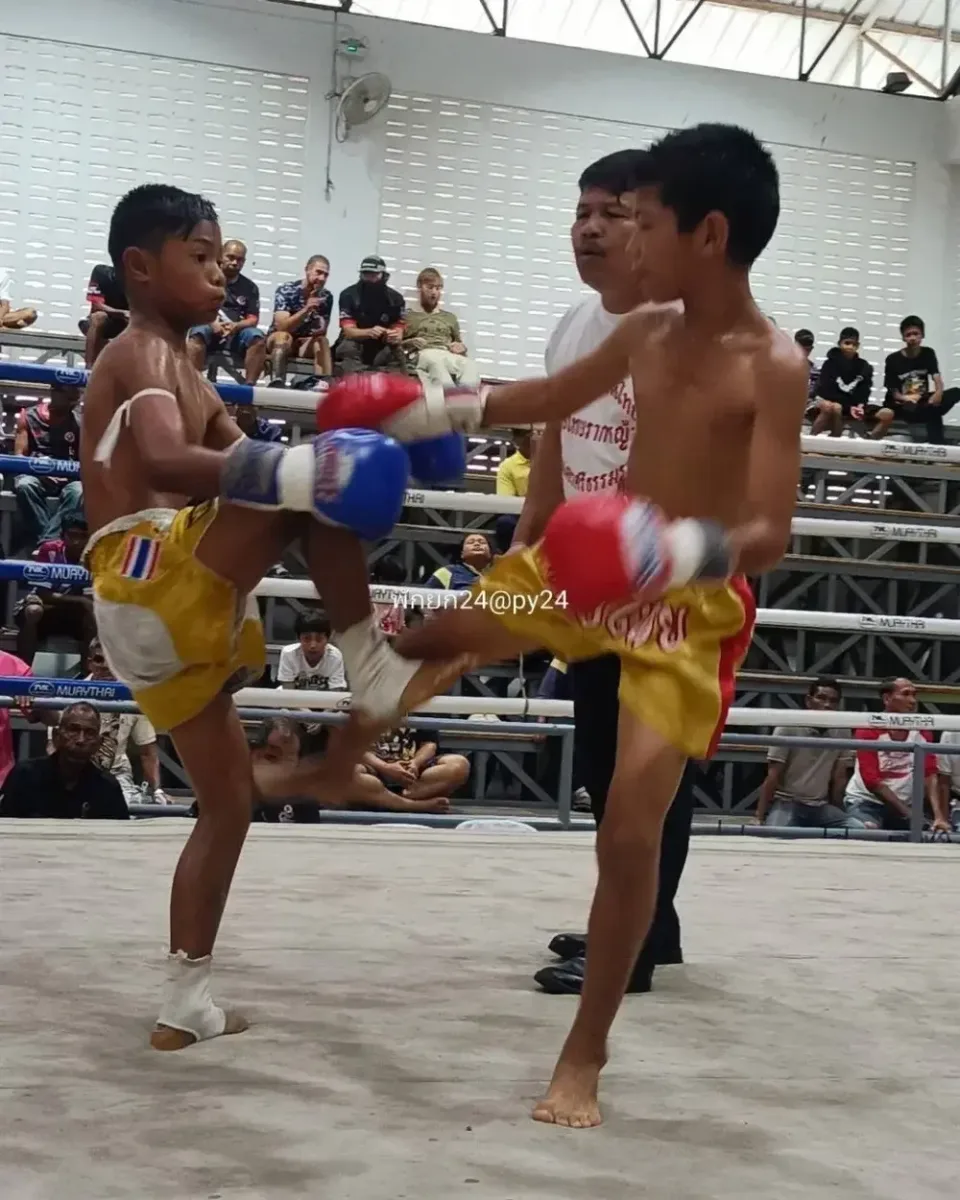 Muaythai training and gym gallery photo 05